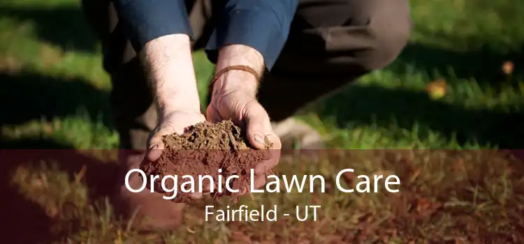 Organic Lawn Care Fairfield - UT