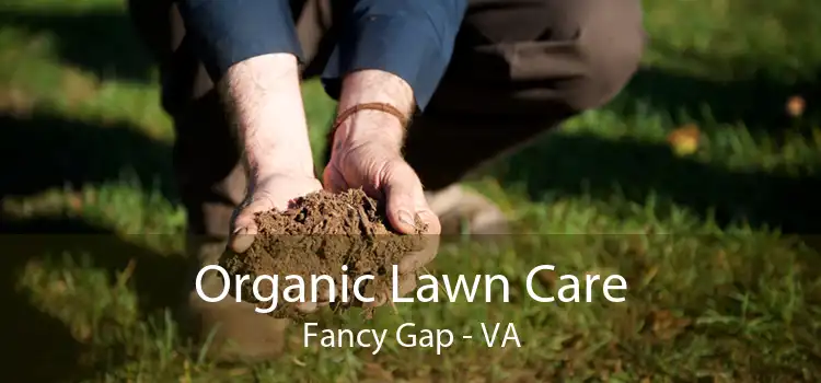 Organic Lawn Care Fancy Gap - VA