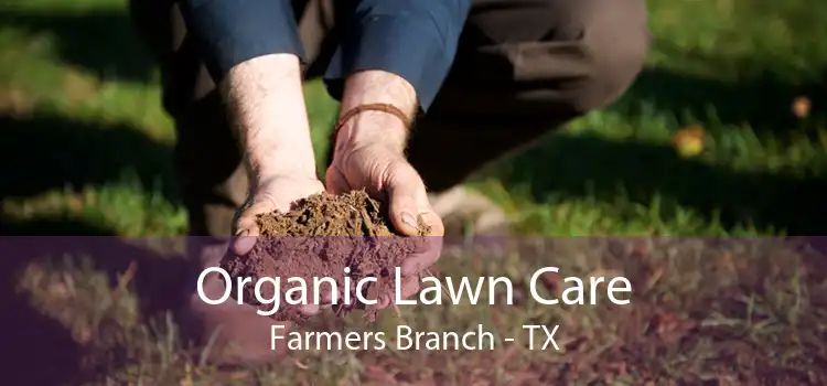 Organic Lawn Care Farmers Branch - TX