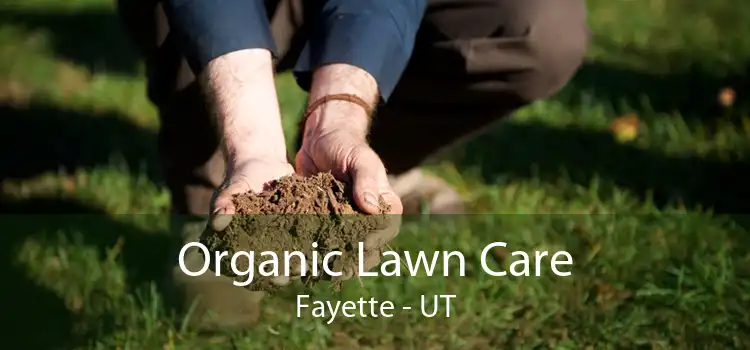Organic Lawn Care Fayette - UT