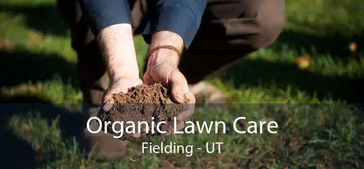 Organic Lawn Care Fielding - UT