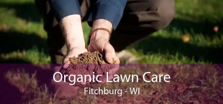 Organic Lawn Care Fitchburg - WI