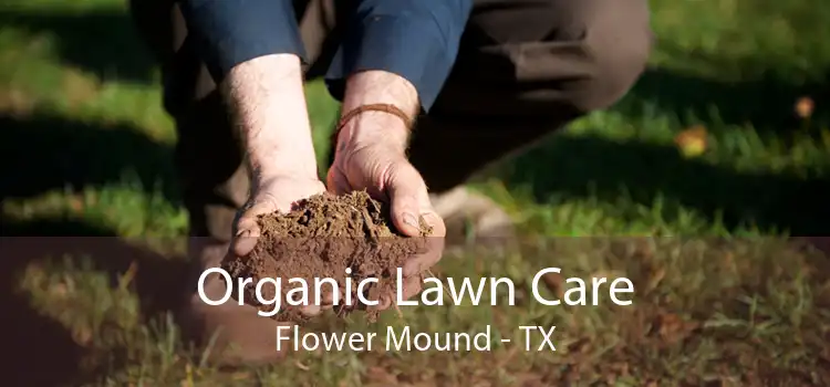 Organic Lawn Care Flower Mound - TX