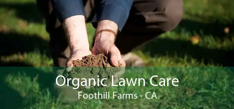 Organic Lawn Care Foothill Farms - CA