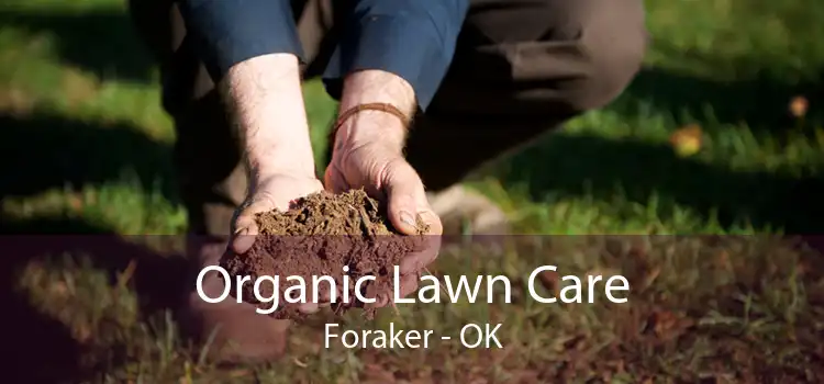 Organic Lawn Care Foraker - OK