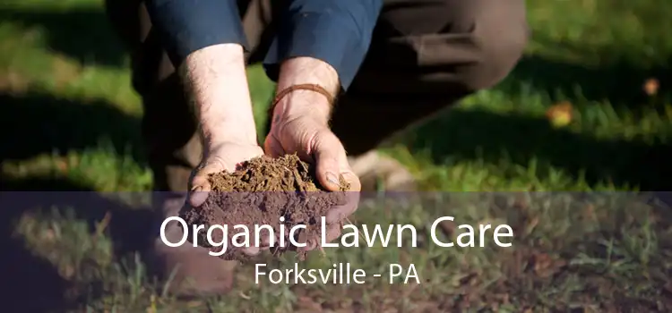 Organic Lawn Care Forksville - PA