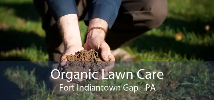 Organic Lawn Care Fort Indiantown Gap - PA