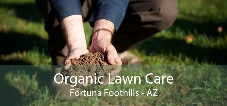 Organic Lawn Care Fortuna Foothills - AZ