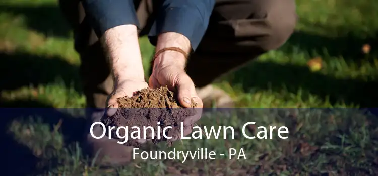 Organic Lawn Care Foundryville - PA