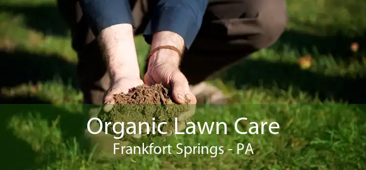 Organic Lawn Care Frankfort Springs - PA