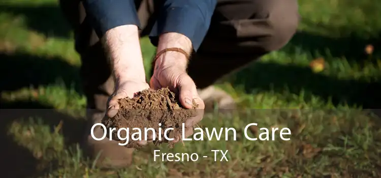 Organic Lawn Care Fresno - TX