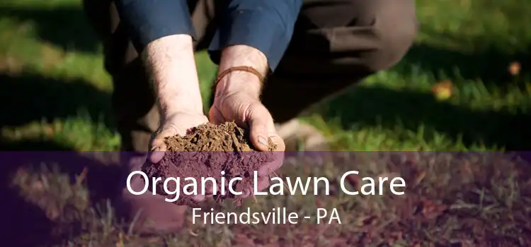 Organic Lawn Care Friendsville - PA