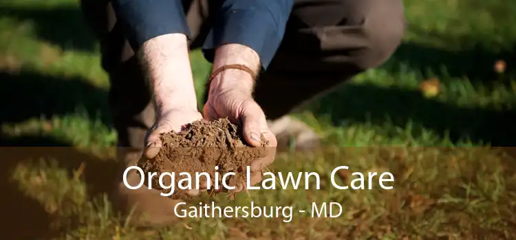  Organic Lawn Care Gaithersburg - MD