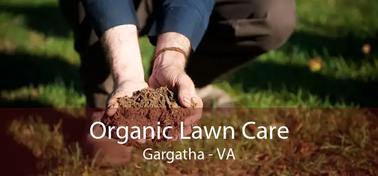 Organic Lawn Care Gargatha - VA