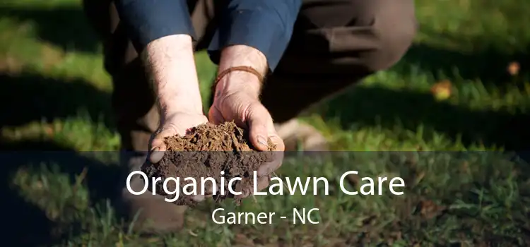 Organic Lawn Care Garner - NC