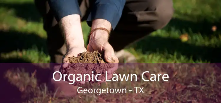 Organic Lawn Care Georgetown - TX