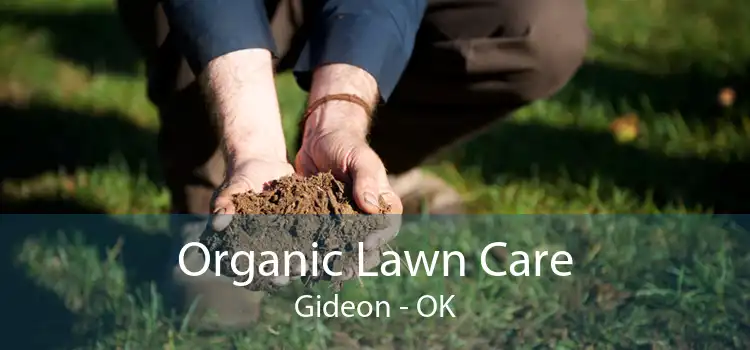 Organic Lawn Care Gideon - OK