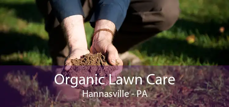 Organic Lawn Care Hannasville - PA