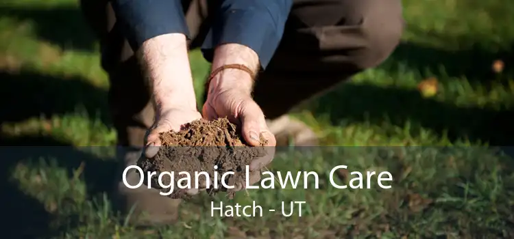 Organic Lawn Care Hatch - UT