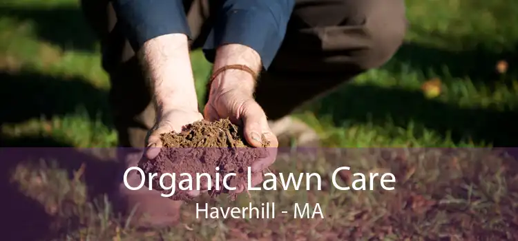 Organic Lawn Care Haverhill - MA