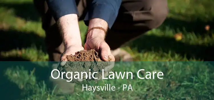 Organic Lawn Care Haysville - PA