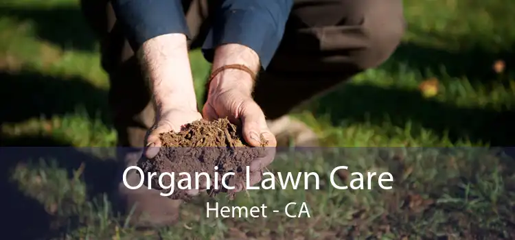 Organic Lawn Care Hemet - CA