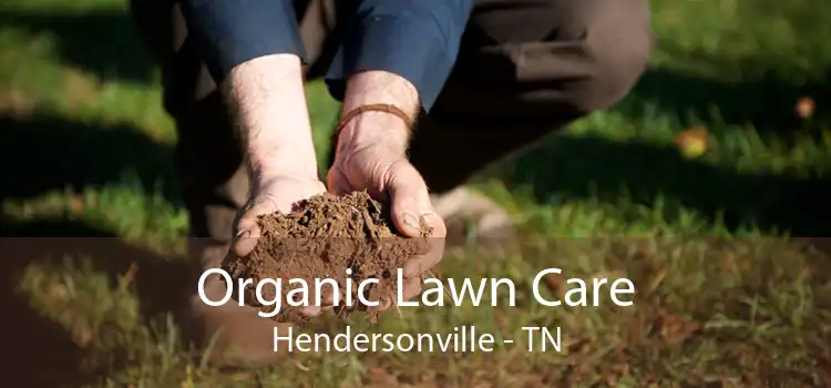 Organic Lawn Care Hendersonville - TN