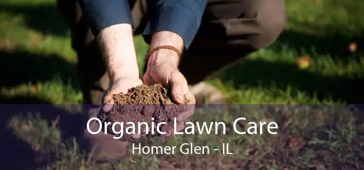  Organic Lawn Care Homer Glen - IL