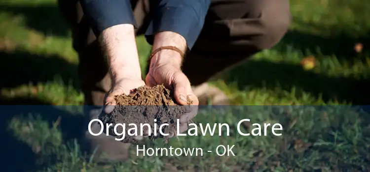 Organic Lawn Care Horntown - OK