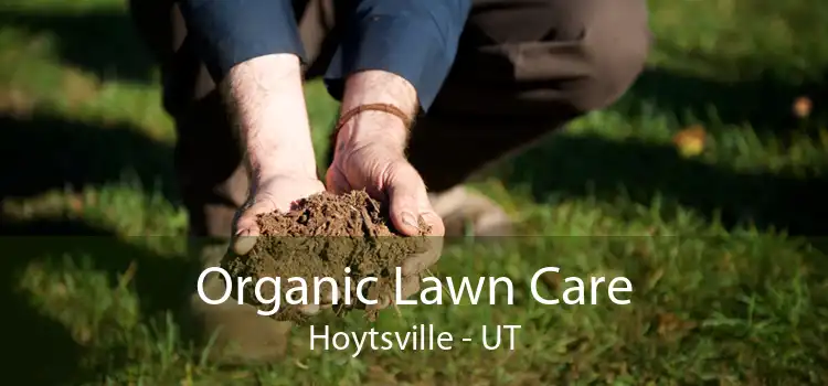 Organic Lawn Care Hoytsville - UT