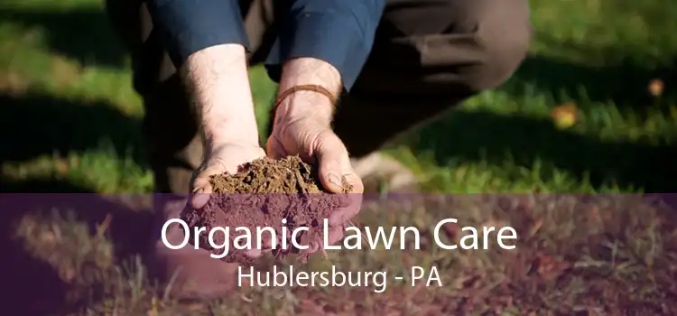 Organic Lawn Care Hublersburg - PA