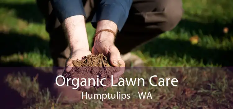 Organic Lawn Care Humptulips - WA
