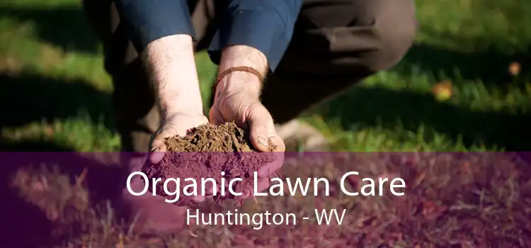 Organic Lawn Care Huntington - WV