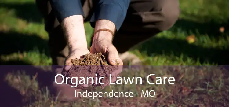 Organic Lawn Care Independence - MO
