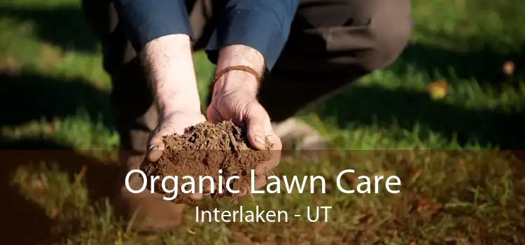 Organic Lawn Care Interlaken - UT