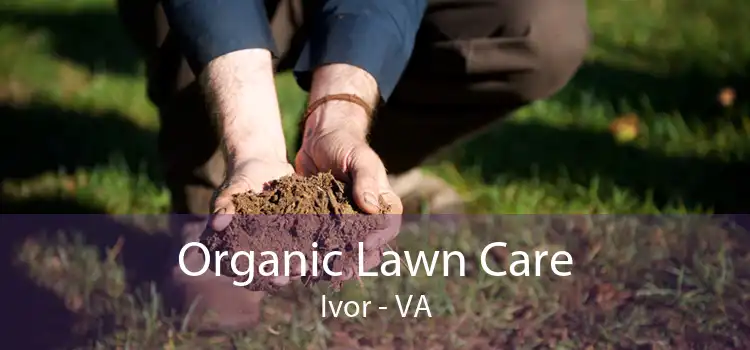 Organic Lawn Care Ivor - VA