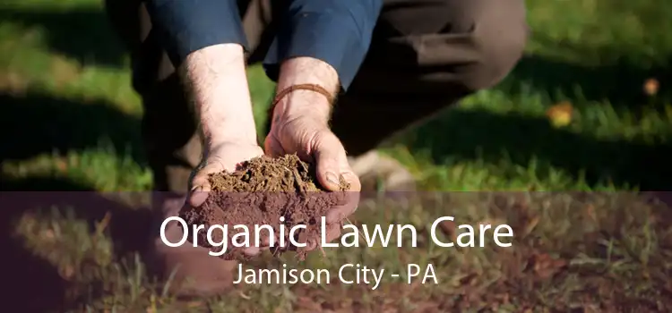  Organic Lawn Care Jamison City - PA