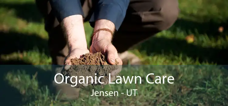 Organic Lawn Care Jensen - UT
