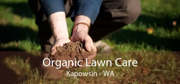 Organic Lawn Care Kapowsin - WA