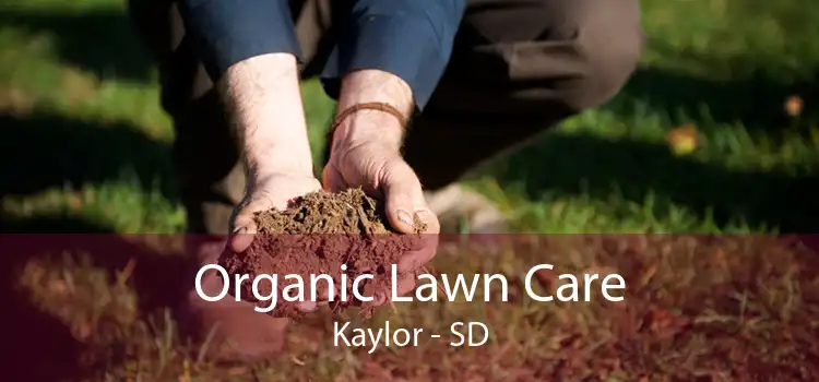 Organic Lawn Care Kaylor - SD