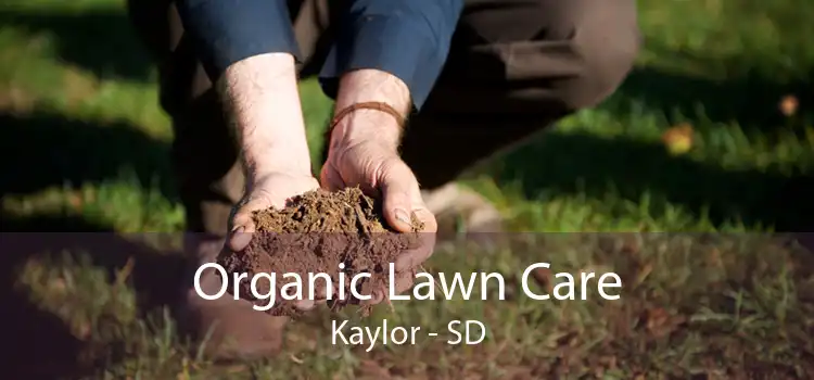 Organic Lawn Care Kaylor - SD
