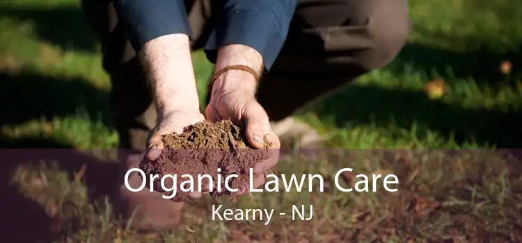 Organic Lawn Care Kearny - NJ