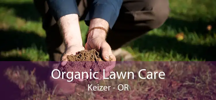 Organic Lawn Care Keizer - OR