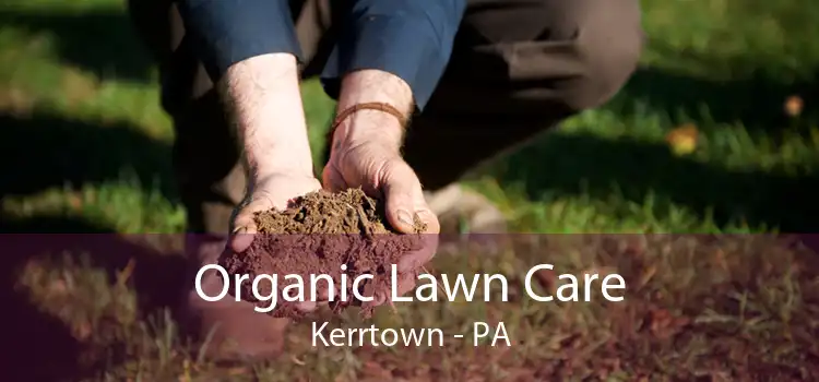 Organic Lawn Care Kerrtown - PA