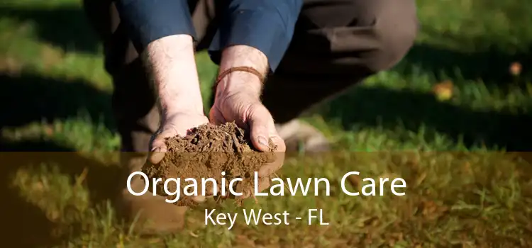 Organic Lawn Care Key West - FL