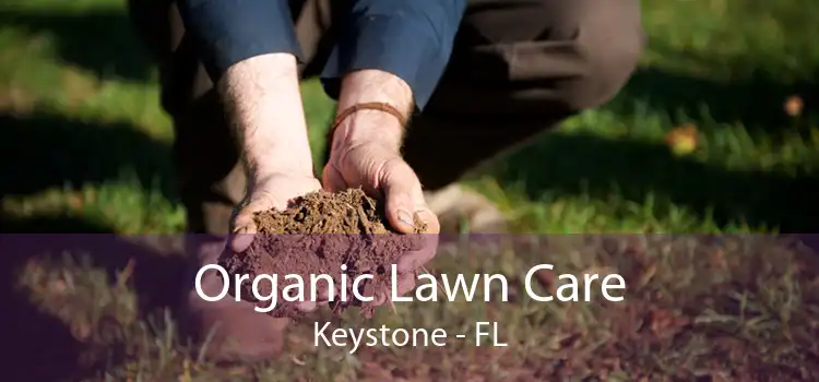 Organic Lawn Care Keystone - FL