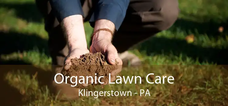 Organic Lawn Care Klingerstown - PA