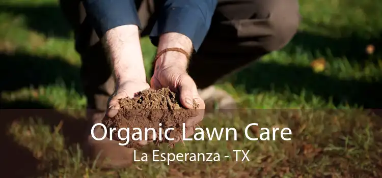 Organic Lawn Care La Esperanza - TX