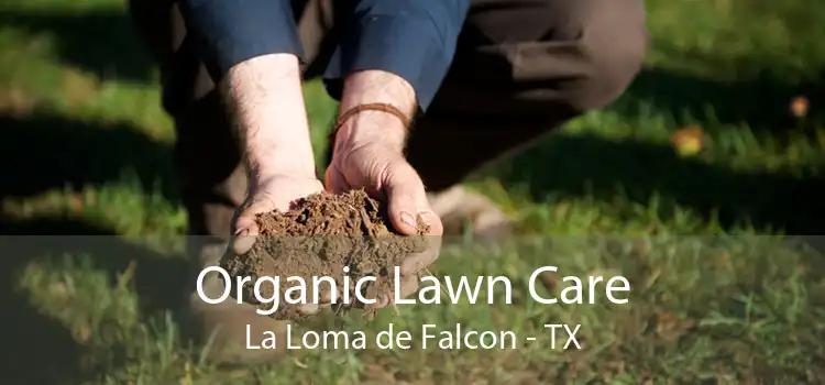 Organic Lawn Care La Loma de Falcon - TX