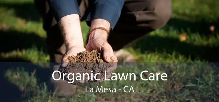  Organic Lawn Care La Mesa - CA